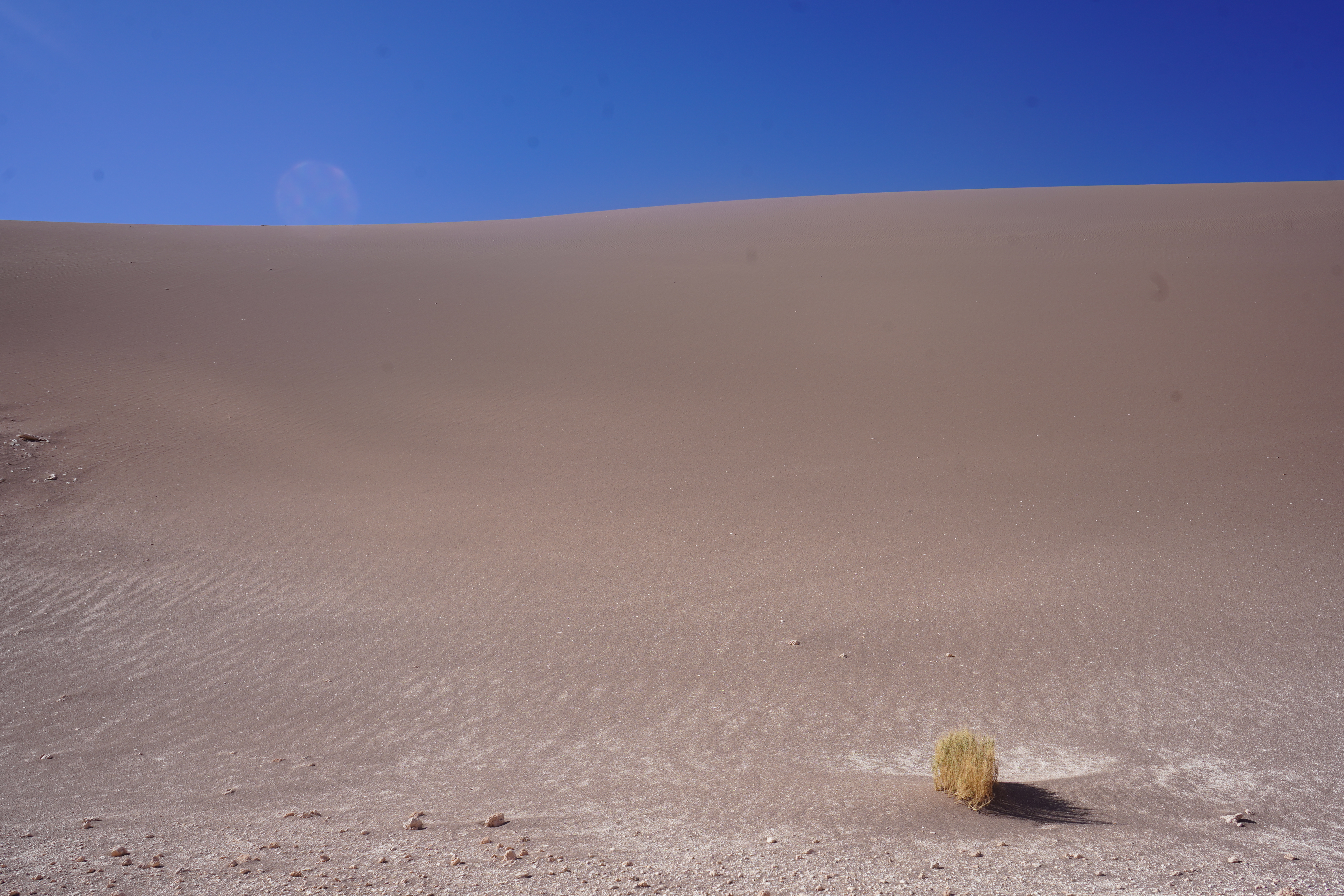 Atacama Desert