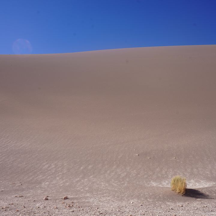 Atacama Desert